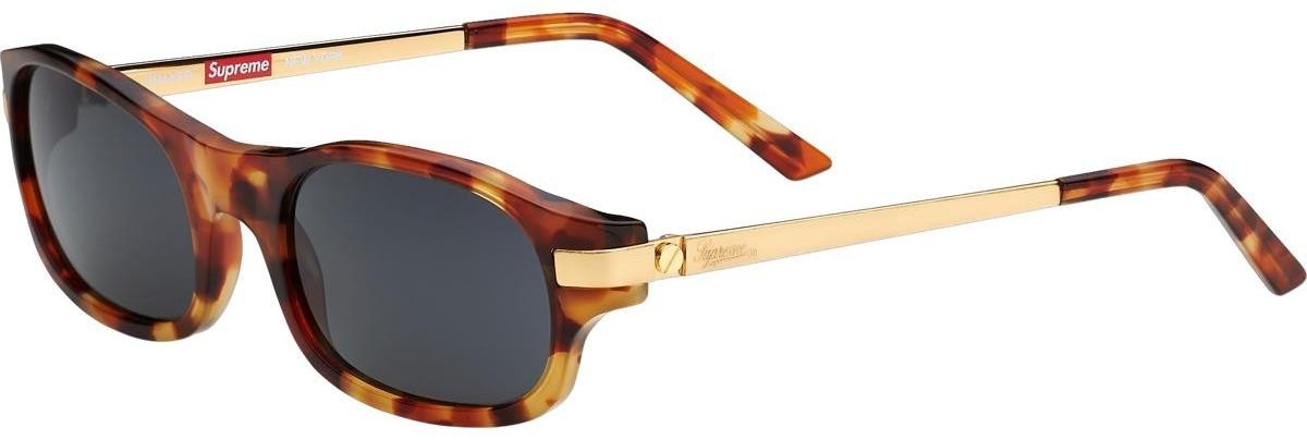 Walker Sunglasses view 8